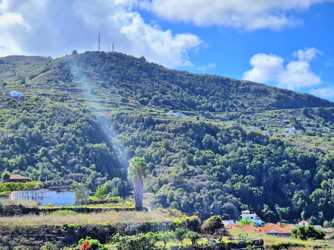 Cozy House Casa De Los Abuelos In Icod De Los Vinos By Hrtenerife Net Eksteriør bilde