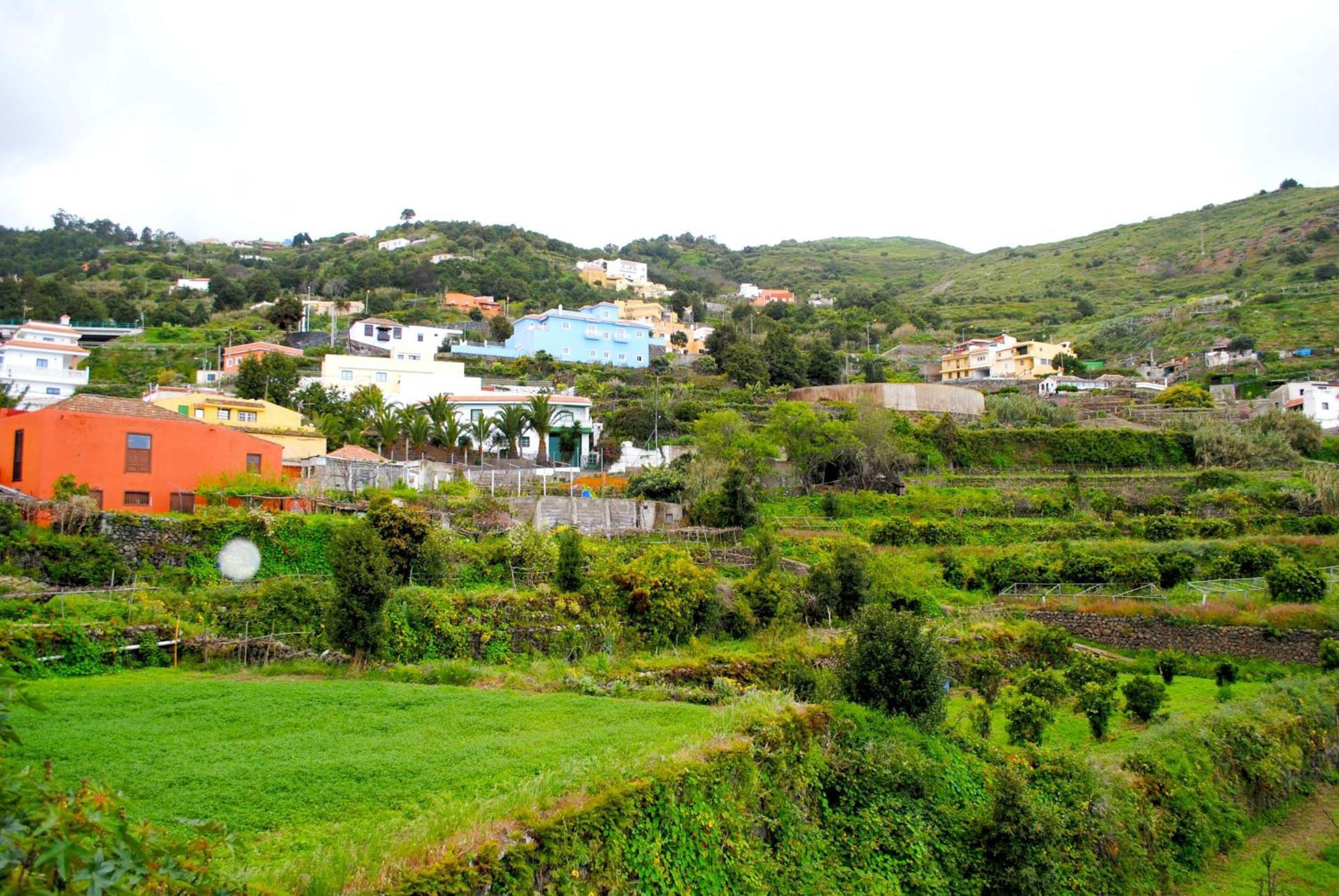 Cozy House Casa De Los Abuelos In Icod De Los Vinos By Hrtenerife Net Eksteriør bilde